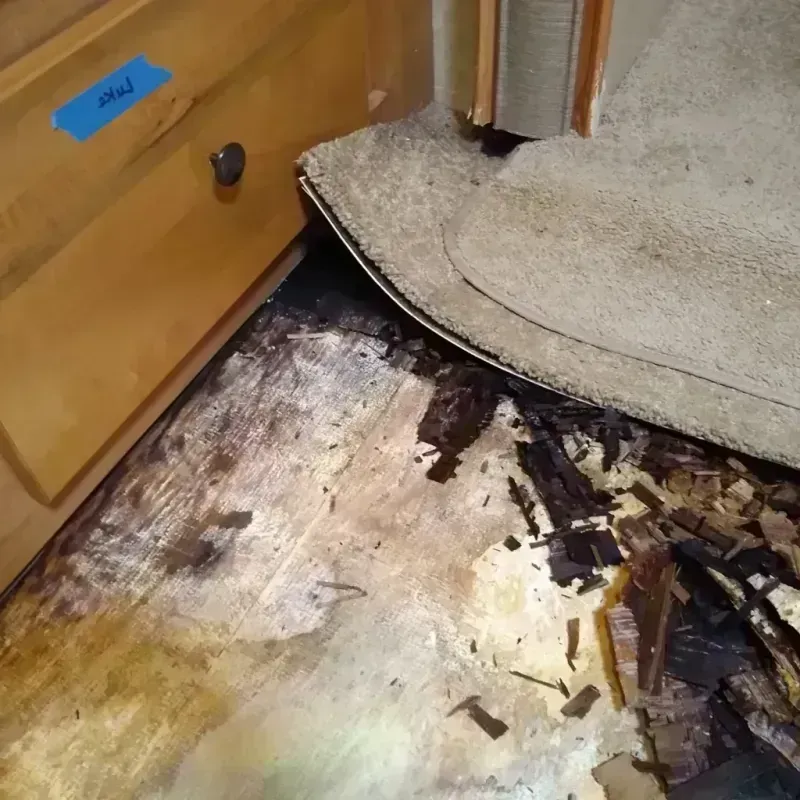 Wood Floor Water Damage in Essex County, NY